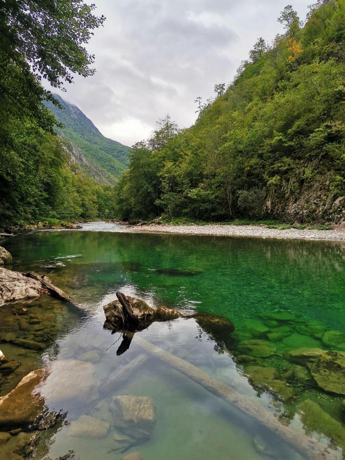 Ethno Cottage Momo Tepca Žabljak Extérieur photo
