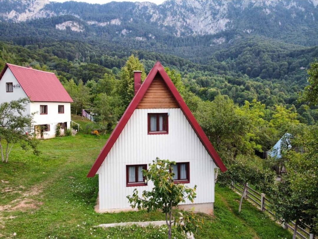 Ethno Cottage Momo Tepca Žabljak Extérieur photo